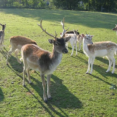 Zenntaler Hof Ξενοδοχείο Neuhof an der Zenn